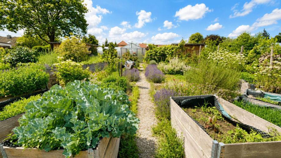 Garten Bauernhaus Wustrow (Wendland)