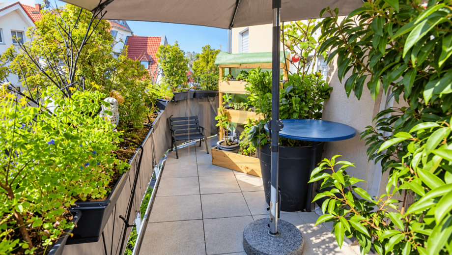 Sonniger Balkon mit Pflanzen Etagenwohnung Dransfeld