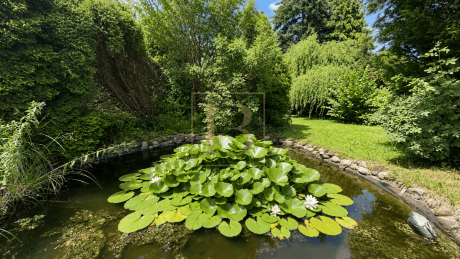 Garten Bungalow Suhlendorf